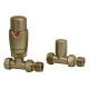 Round Thermostatic Brushed Brass Radiator Valves - Straight