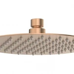 Showerheads Brushed Bronze